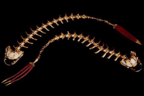 alien creatures bracelets